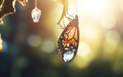 Weathering the Storms of Change